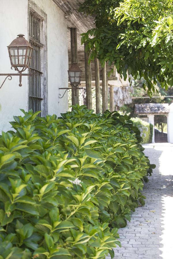 Hotel Casa Silva San Fernando Exteriér fotografie